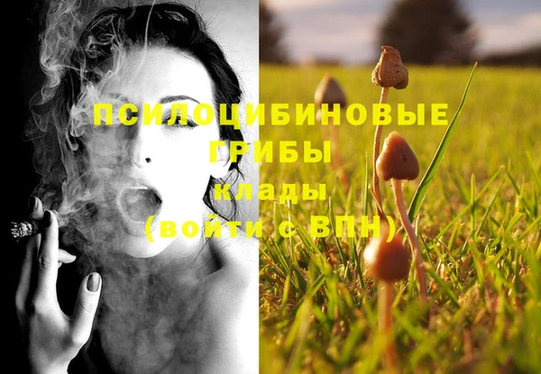 МДМА Алексеевка
