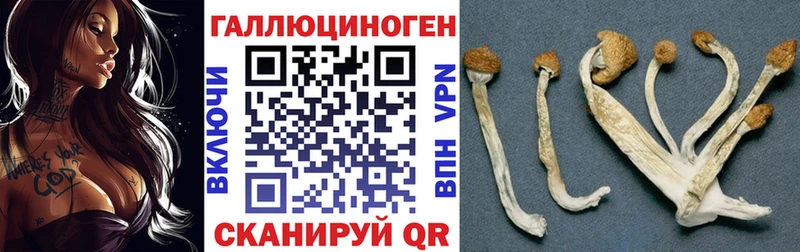 Галлюциногенные грибы GOLDEN TEACHER  Сортавала 